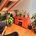 Zimmer in großer 2er-WG Anfang Schwachhausen - Bild 4