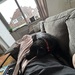 Anfängerhündin Puma sucht jemanden zum kuscheln  - Bild 4