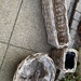 3 Natur-Pflanzkörbe Outdoor, 10 Euro - Bild 1