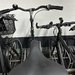 XXL  Herrenrad - Bild 1