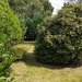 Eigenlandparzelle im Geteviertel - Bild 8