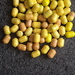 AELTERE U EIER MIT INHALT (73 STUECK) - Bild 1