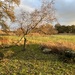 WOHNEN WIE IN KANADA - BLOCKHAUS AM WALDRAND - Bild 35