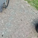 !!Terrassensteine/Betonsteine zu verschenken!! - Bild 3
