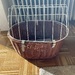 Hunde Fahrradkorb - Bild 1