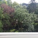 3 Zimmer 95 qm, Nähe Tabakquartier  - Bild 1