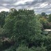 Verkauf, 2-Zi DG-Altbauwohnung, 2 Balkone in Walle - Bild 2