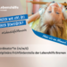 Teamkoordinator:in (m/w/d) Frühförderung - Bild 1