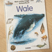 Mein erstes Frage- und Antwortbuch, Wale - Bild 2