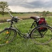 Schönes Oldtimer Rad Herkules - Bild 2
