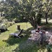 Ligurien: Urlaub mal ganz - wo - anders - Bild 8