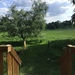 WOHNEN WIE IN KANADA - BLOCKHAUS AM WALDRAND - Bild 6
