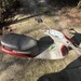 Piaggio Sfera 50 NSL - Bild 4
