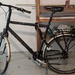 Fahrrad Hercules, City-/Trekkingbike - Bild 2