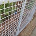 Doppelstabzaun , einstabzaun Felder gesucht  - Bild 2