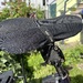 Damenfahrrad zu verkaufen - Bild 4