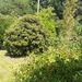 Eigenlandparzelle im Geteviertel - Bild 4