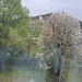 WG-Zimmer in Schwachhausen ab 15.05(oder früher) - Bild 4