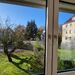 Zimmer in Zweier-WG ab 01.07. in der Neustadt frei - Bild 1