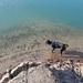 DogSharing - Bild 2