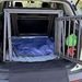 KP Pro Hundebox neuwertig - Bild 3