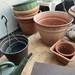 Viele Pflanzen große Menge - Bild 8