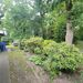 Exklusiver Walmdachbungalow Lilienthal-Falkenberg - Bild 9