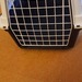 Kleine Transportbox abzugeben - Bild 3