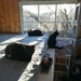 Kater und Katze suchen ein liebevolles zu Hause  - Bild 1