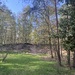 WOHNEN WIE IN KANADA - BLOCKHAUS AM WALDRAND - Bild 42