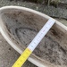 Jardiniere oval - Pflanzschale von Dehner, 5 Euro - Bild 4