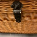 Weidentruhe/korb - Bild 2