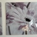 2 grosse, stilvolle  Bilder auf Acryl - Bild 2