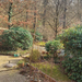 Idyllische Land-WG sucht viertes Mitglied ab Mai - Bild 6