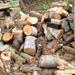 Kaminholz frisch gemischtes Laubbaumholz 2 Big Bag - Bild 1