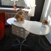 Schreibtisch, kommode  - Bild 1