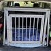 KP Pro Hundebox neuwertig - Bild 2