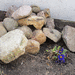 Findling und mehr - Bild 1