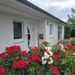 Exklusiver Walmdachbungalow Lilienthal-Falkenberg - Bild 1
