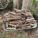 Brennholz - Bild 1