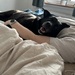 Anfängerhündin Puma sucht jemanden zum kuscheln  - Bild 3