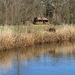 WOHNEN WIE IN KANADA - BLOCKHAUS AM WALDRAND - Bild 49