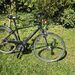 28 Zoll Pegasus Piazza Herrenfahrrad - Bild 1