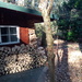 Individuelles Wochenendhaus im Grünen - Bild 6