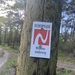 WOHNEN WIE IN KANADA - BLOCKHAUS AM WALDRAND - Bild 41