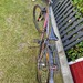 Bulls sharptail street1 Mountainbike gebraucht - Bild 5