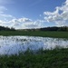 WOHNEN WIE IN KANADA - BLOCKHAUS AM WALDRAND - Bild 46