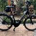 e bike von Diamant Unisex 60er Rahmen Bosch 8 Gang - Bild 1