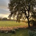 WOHNEN WIE IN KANADA - BLOCKHAUS AM WALDRAND - Bild 34