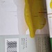 Schmetterlingsoase, Futterstelle - Bild 3